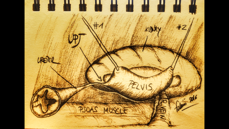 2887756A-025C-4A82-968E-6C269AA7D301