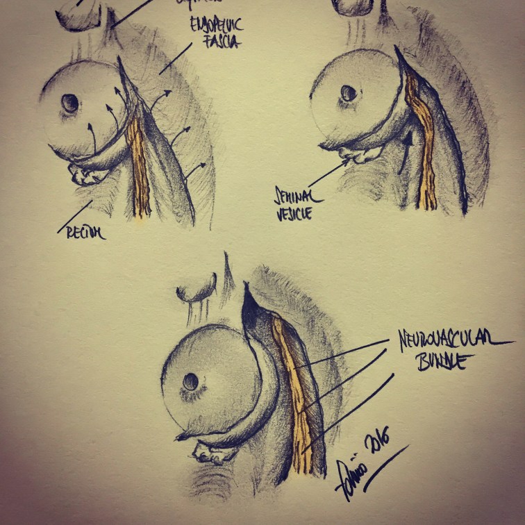 Processed with Snapseed.