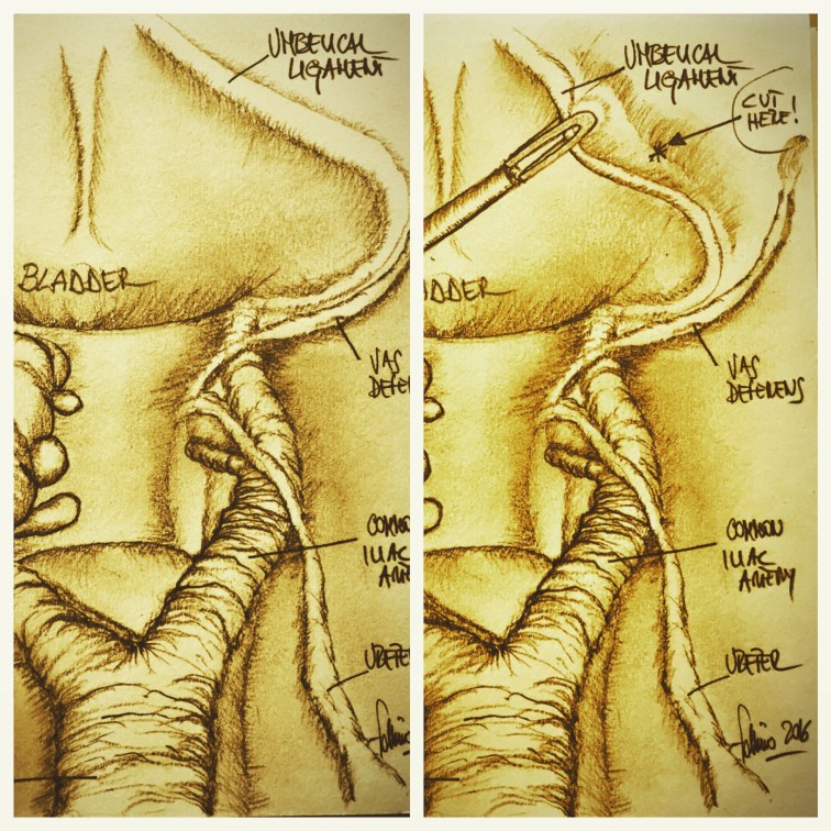 52472B75-6F16-4A0A-80DE-D86FC91266F0