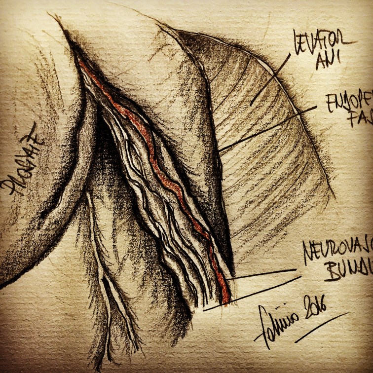 Processed with Snapseed.