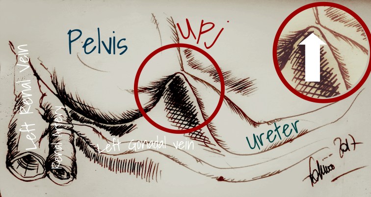 6068DDD8-04A3-4A0C-AF4B-40FA370D3539