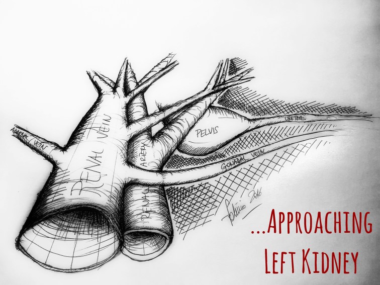 78C322E3-DE27-4550-AA70-486ACD61C8A6