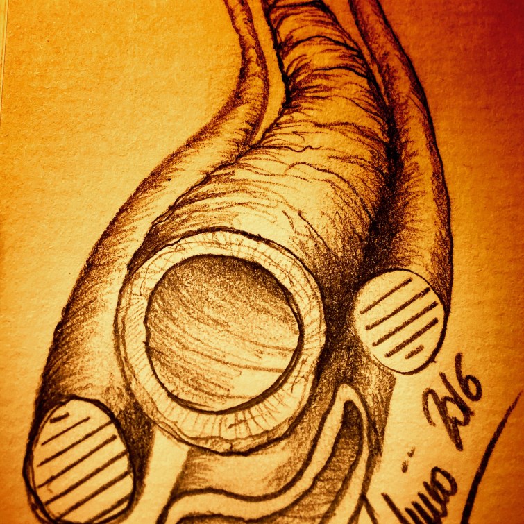 Processed with Snapseed.