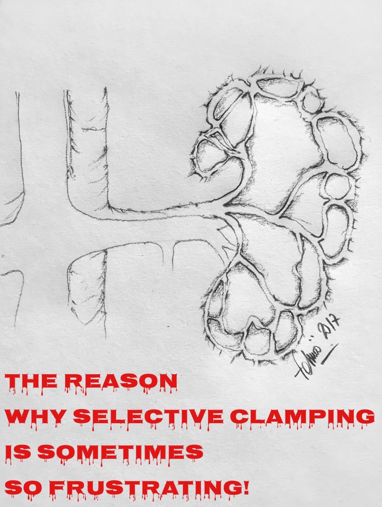 85F75860-8D80-4A72-BAF3-7285CCCA47B7