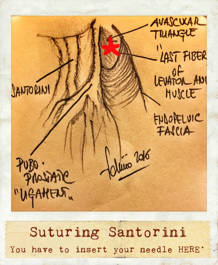 8C5EDA02-EAB6-421E-88D4-CF70E49BA104