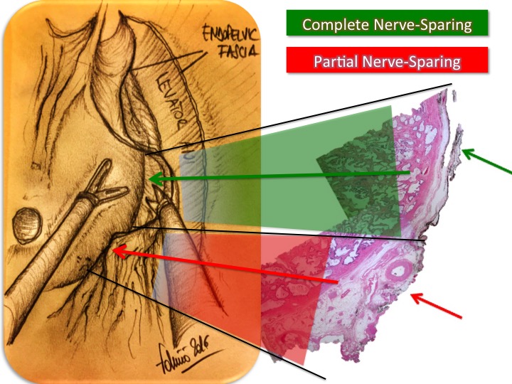 9D115155-DC59-42FA-9B2C-4A2C7B8B67D9
