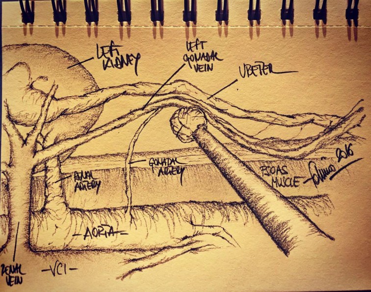 C4BC93F0-49F0-477B-8A53-8CCBBFE159AA