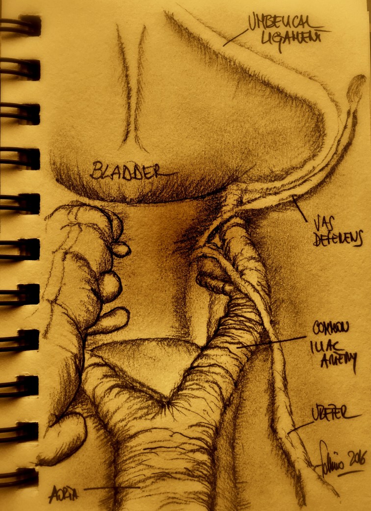 Processed with Snapseed.